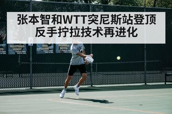 张本智和WTT突尼斯站登顶 反手拧拉技术再进化