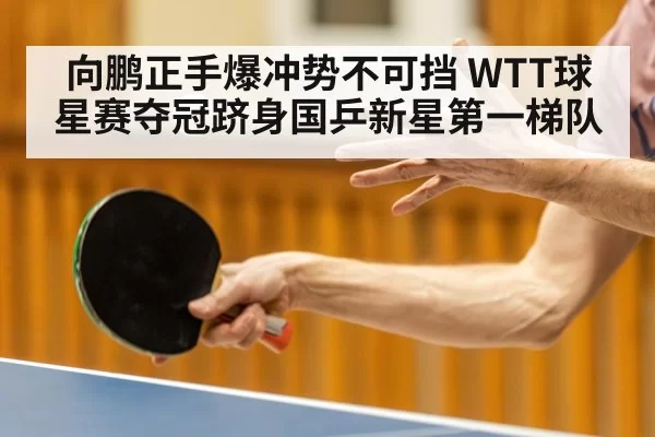 向鹏正手爆冲势不可挡 WTT球星赛夺冠跻身国乒新星第一梯队